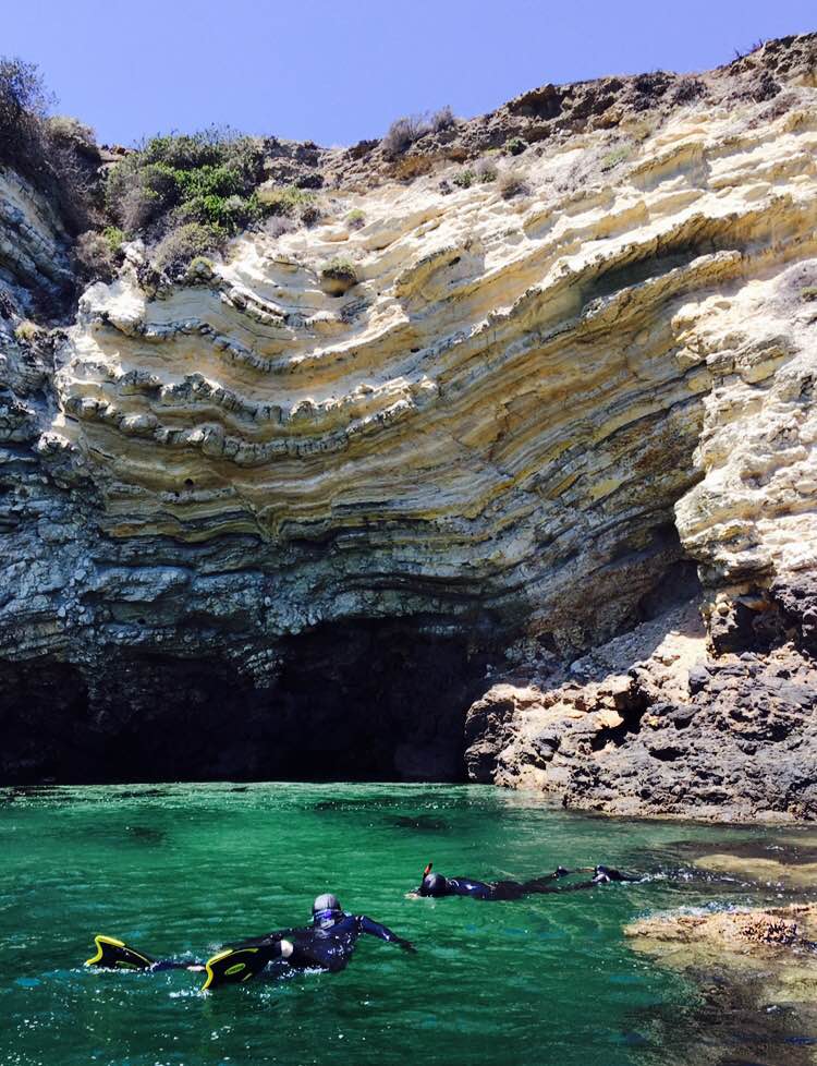 santa barbara snorkeling