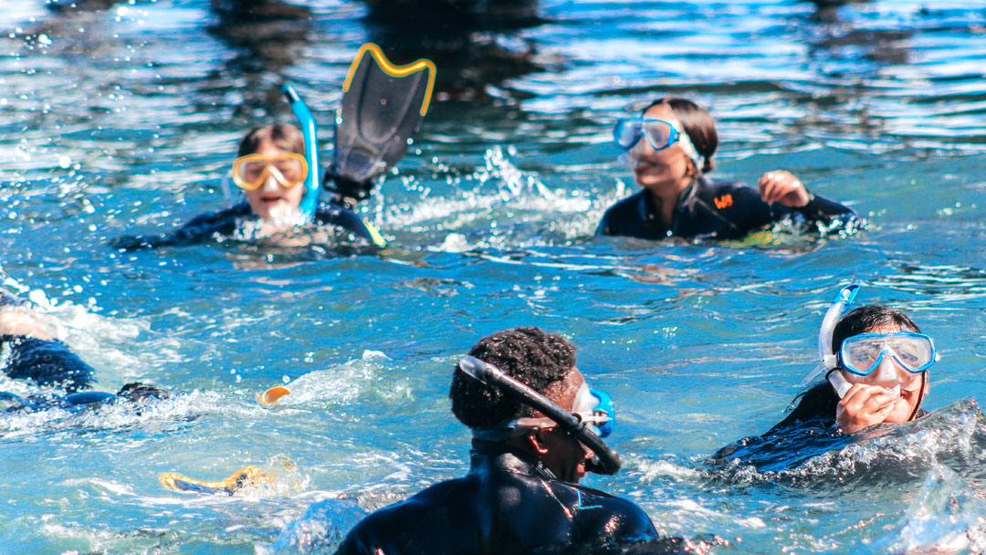 School children snorkeling at Channel Islands National Park