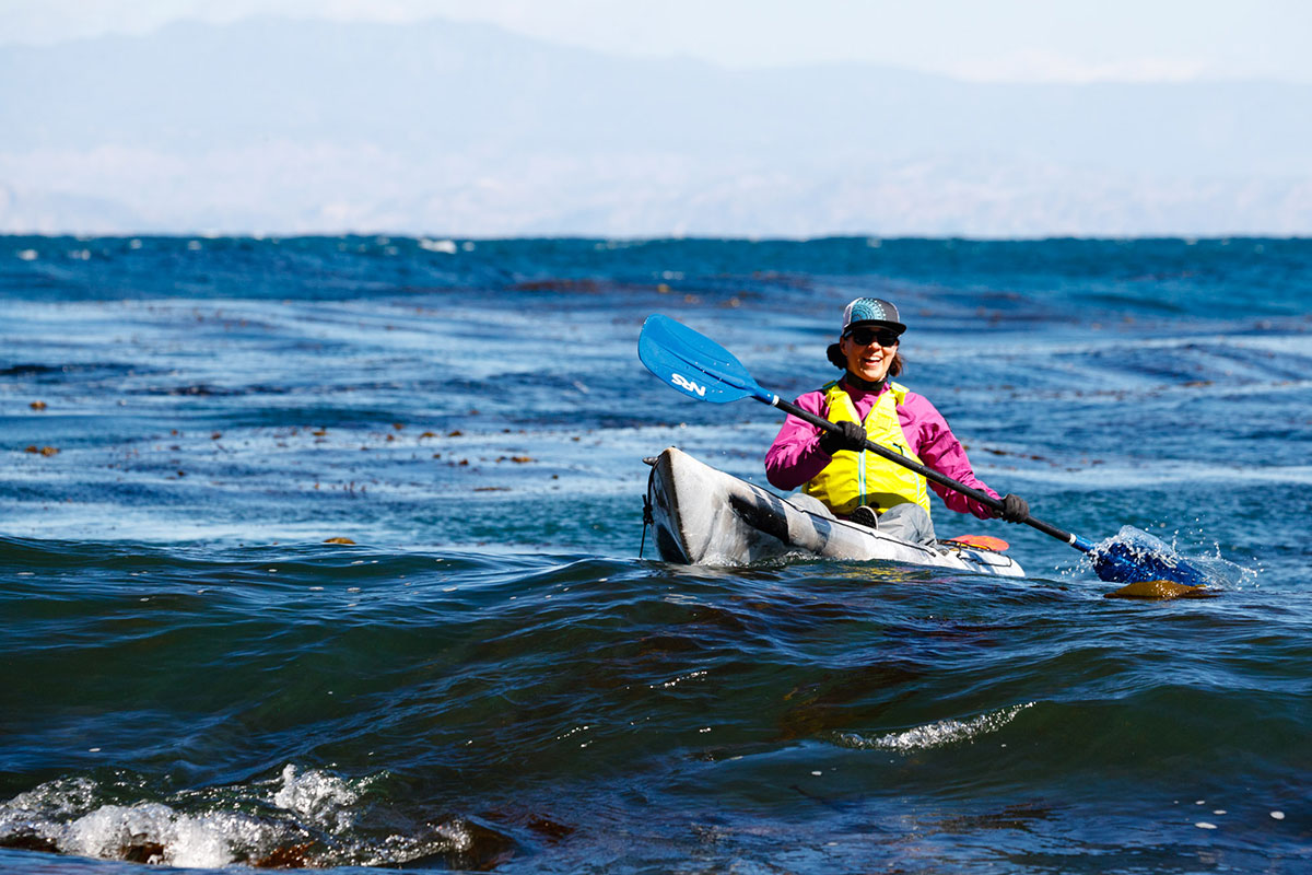 sea cave kayaking with dolphins