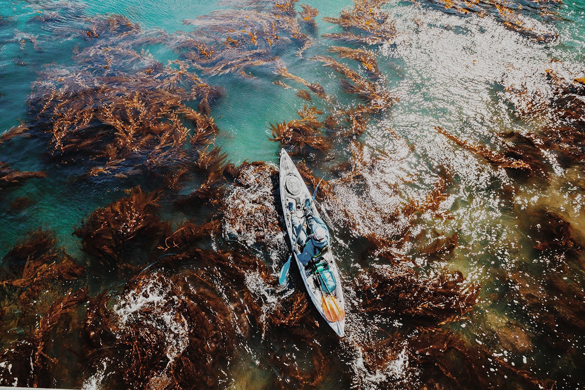 scorpion island kayaking santa barbara