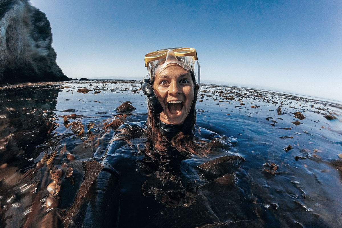 snorkel through sea kelp forests