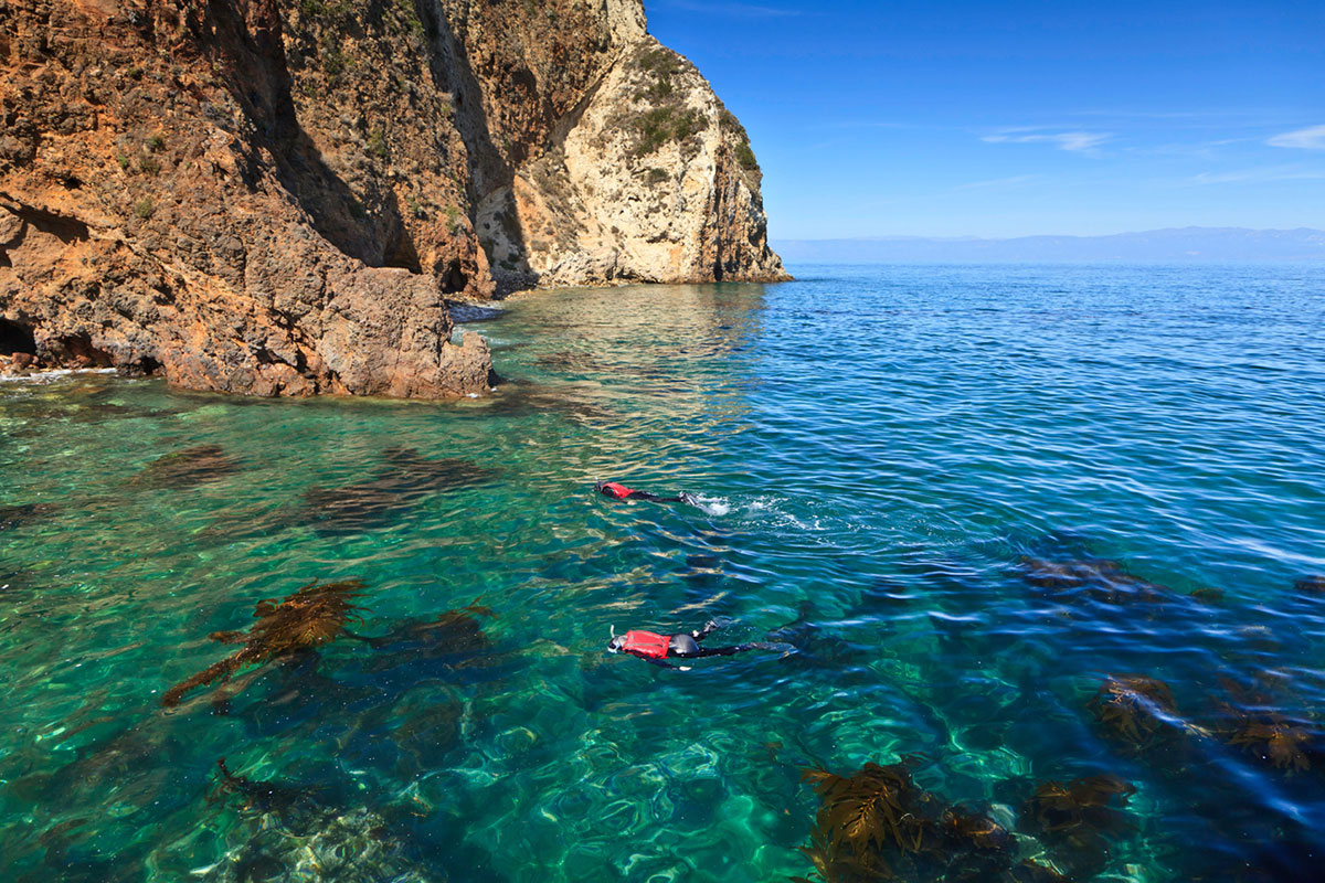 sea-caves-dolphins