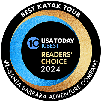 channel island kayaking is readers choice